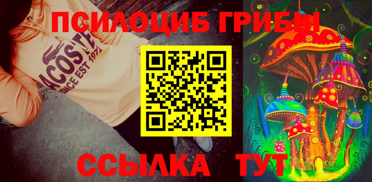 Псилоцибиновые грибы ЛСД Алексин